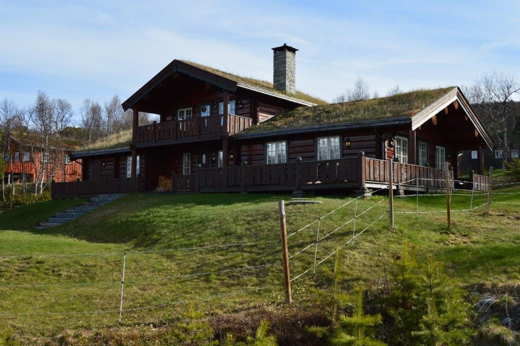 Laftehytte #1